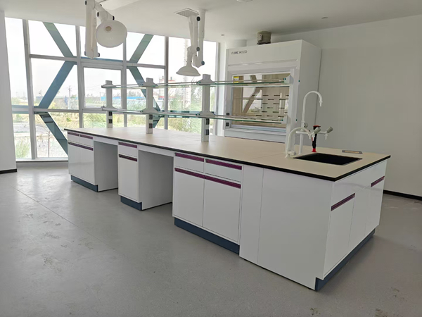 實(shí)驗(yàn)室用實(shí)驗(yàn)臺(tái) 實(shí)驗(yàn)室用實(shí)驗(yàn)臺(tái)